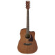 Ibanez PF12MHCE-OPN Open Pore Natural