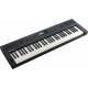 Roland Go:Keys 5 Graphite