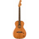 Fender Highway Series Parlor Mahogany