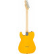 Fender Standard Telecaster Butterscotch Blonde Set