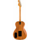 Fender Highway Series Parlor Natural