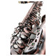 Classic Cantabile Winds AS-450 Antique Red Eb Set Saxophone Alto