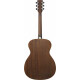 Ibanez AC340-OPN