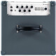 Darkglass Infinity 500 Combo 210