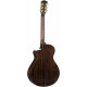 Cort Gold MC6 Light Burst