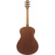 Ibanez AAM54-OPN Open Pore Natural