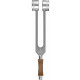 Sela SETFTP-PY Therapy Professional Tuning Fork Platonic Year