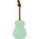 Fender California Standard Monterey E Pack De Démarrage Surf Green