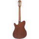 Ibanez FRH10N-BSF Guitare Brown Sunburst Flat