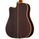 Epiphone Hummingbird Deluxe EC Autumn Burst