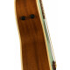 Fender Newporter Player Westerngitaar Surf Green