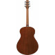 Ibanez AAM140E-MHS Acajou Sunburst Brillant