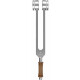 Sela SETFTP-EY Therapy Professional Tuning Fork Earth Year (Om)