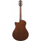 Ibanez AAM300CE-NT Natural High Gloss