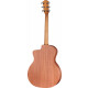 Taylor 14ce