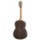 Hanika Natural Torres Guitare Classique