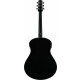 Ibanez AAM100E-BK Black High Gloss