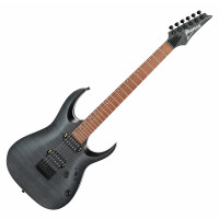 Ibanez RGA42FM-TGF Transparent Gray Flat 