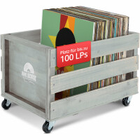 Stagecaptain SPK-100 GY Scatola Porta Dischi "Emil" Grigia 