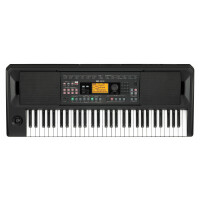 Korg EK-50  - Retoure (Zustand: gut) 