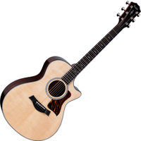 Taylor Next Generation 312ce (2026) 