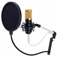 Pronomic CM-100BG Microphone Studio à Grande Membrane & Anti-pop 