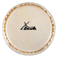 XDrum Bongo vel 8" 