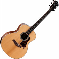 Taylor Gold Label 814e  