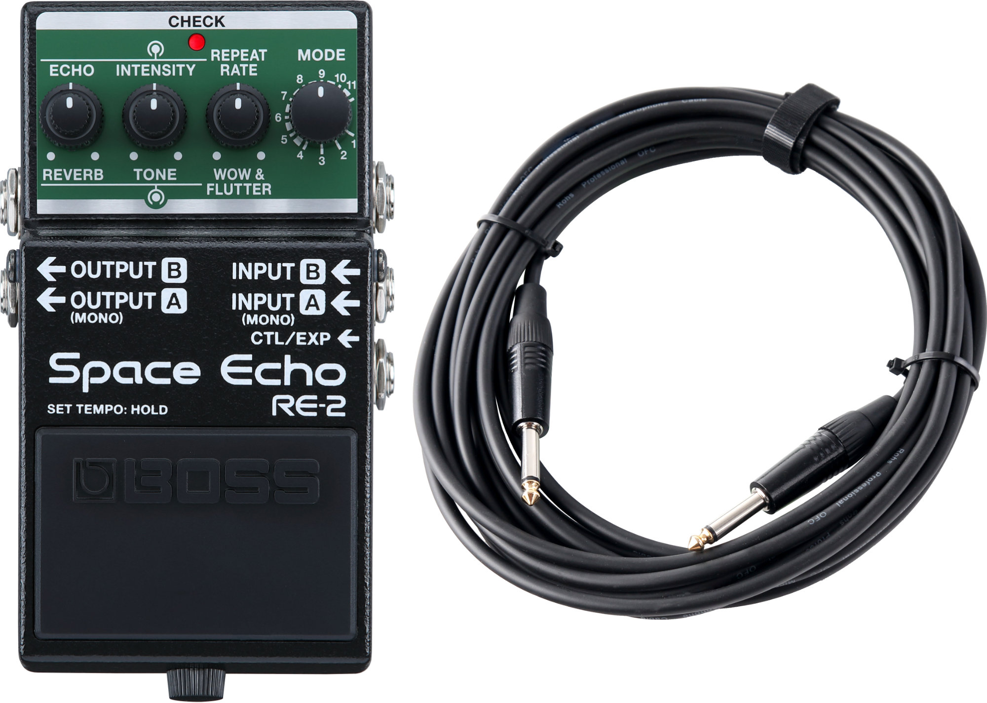 Boss RE-2 Space Echo Digital Delay Set