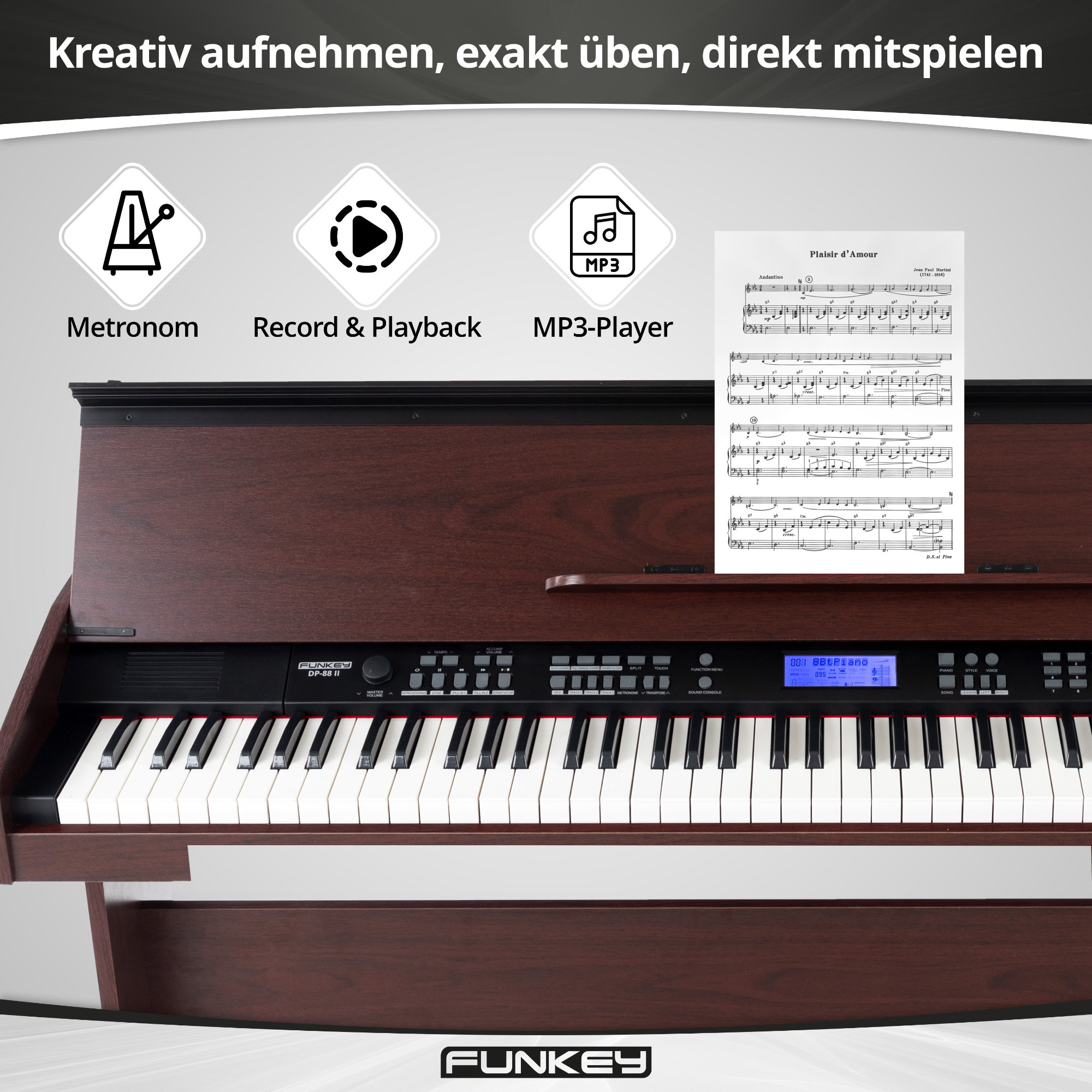 I Pianoforti Ne Hanno Di Solito 88