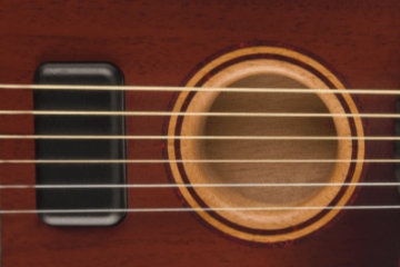 Fender Acoustasonic Shawbucker