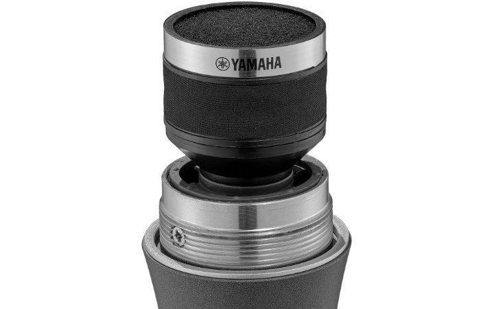 Capsule spécialement conçue avec directivité cardioïde