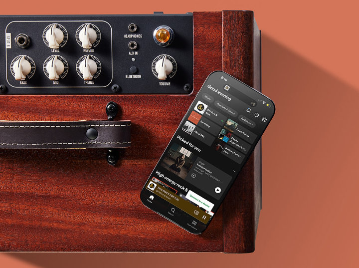 Taylor Circa74 AV150-10 150W 10" Akustik Combo