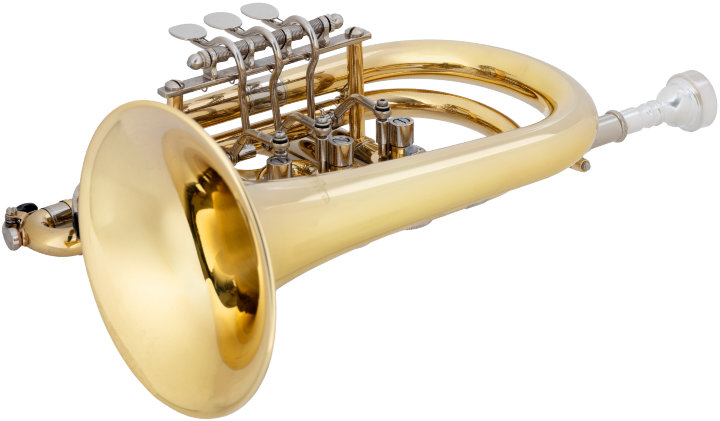 Cornetto Lechgold a valvole rotanti